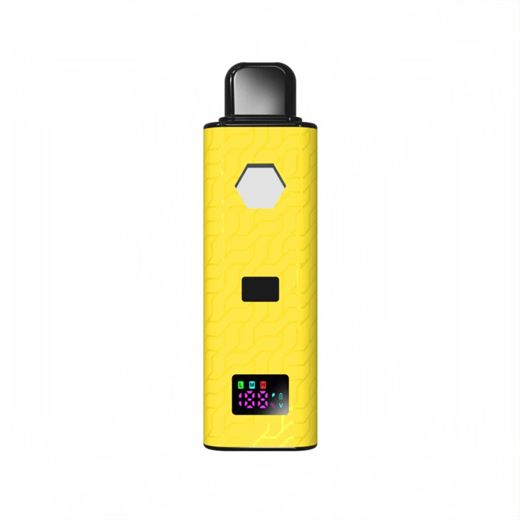 Wholesale Price 2ml Dual Coil Empty Disposable Vape Pen For THC/10-OH-HHC V30